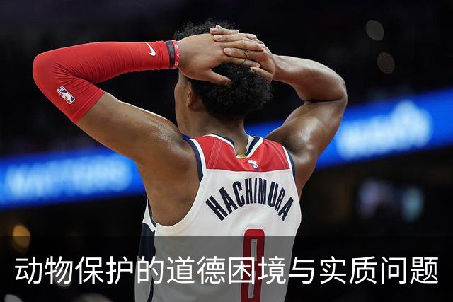 动物保护的道德困境与实质问题