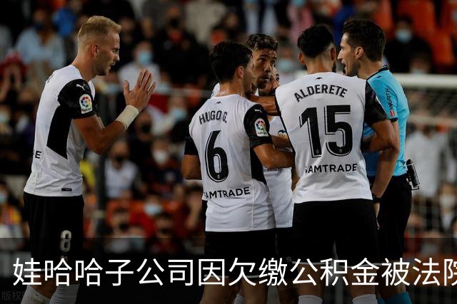 娃哈哈子公司因欠缴公积金被法院查封办公楼引发关注